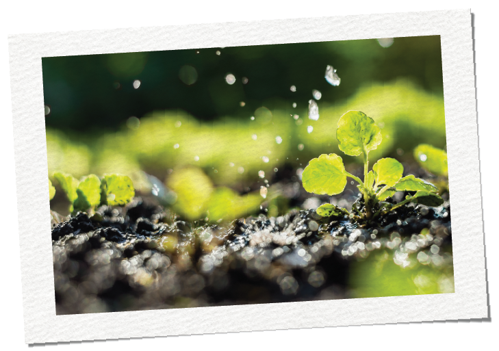 sustain_image1